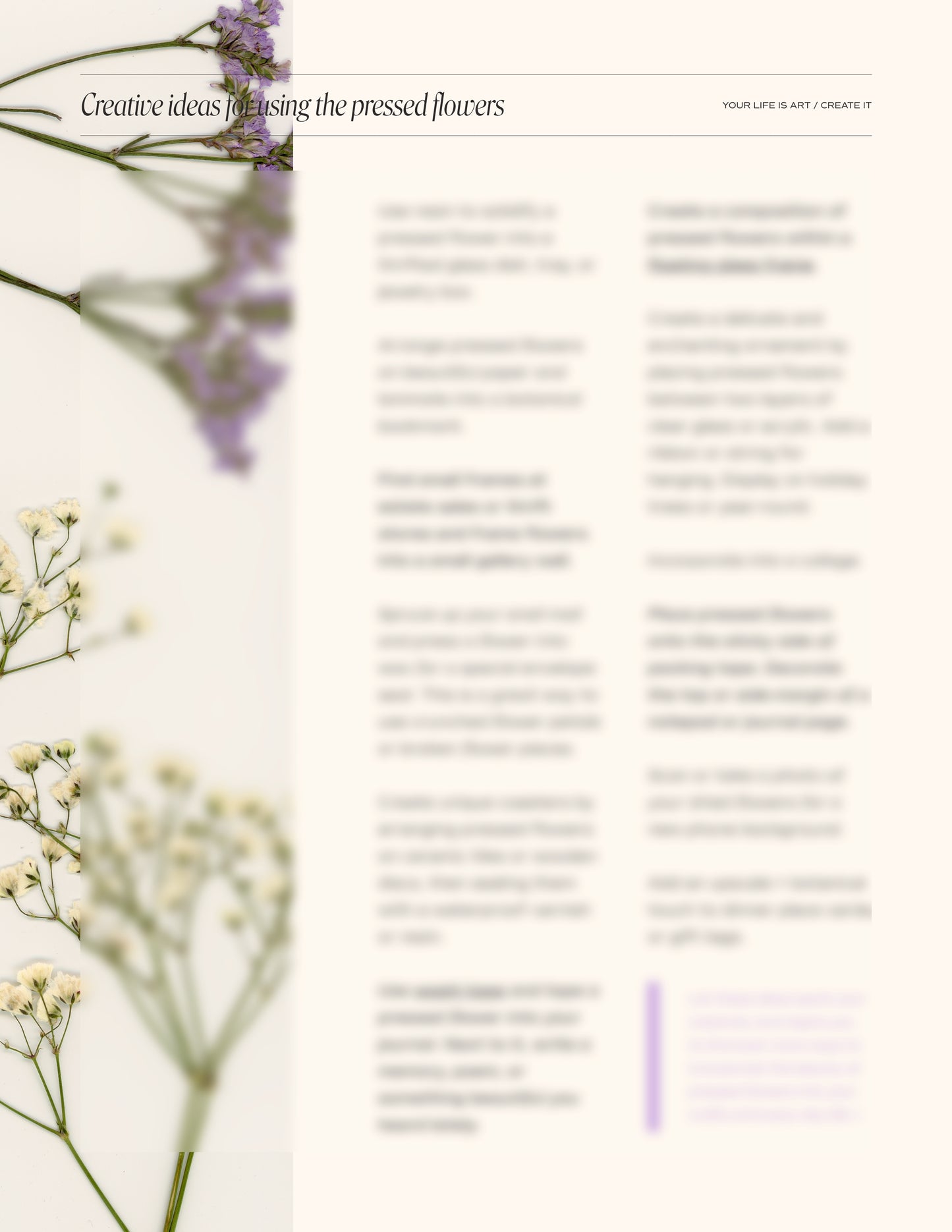 Creative Guide to Pressing Flowers — Free Digital Download