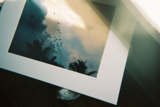 Tropical Sky Birds — Costa Rica Fine Art Print