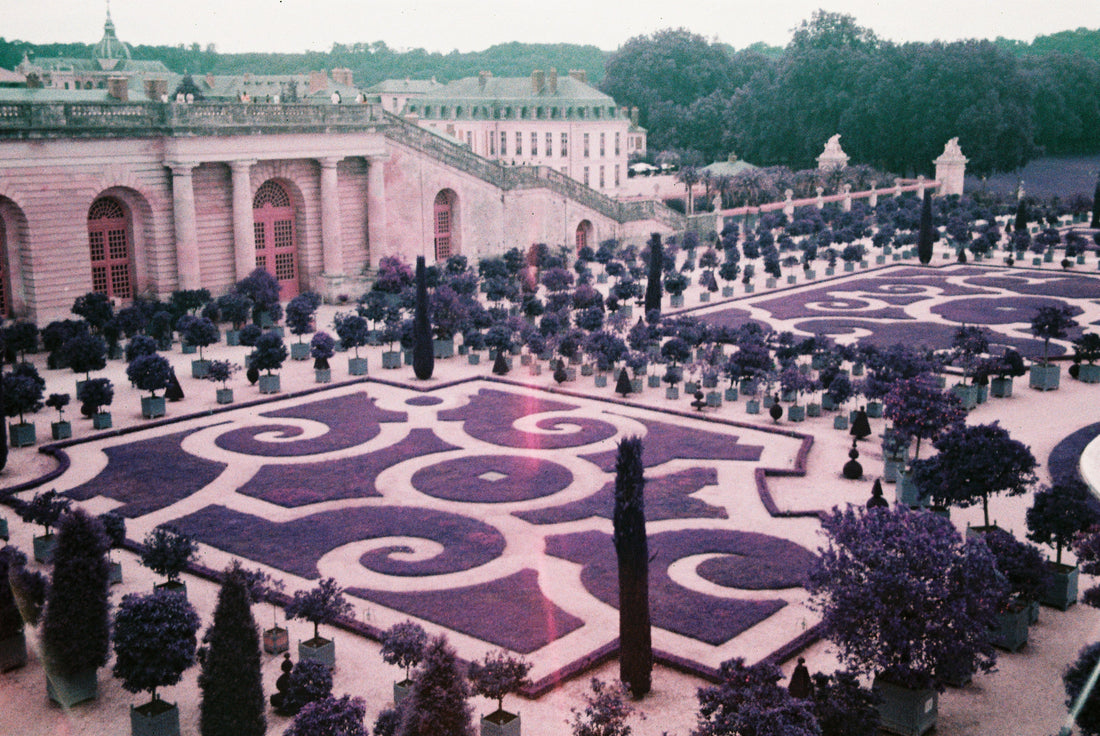 LomoChrome Purple 35mm Film at the Palace of Versailles
