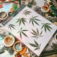 Rocky Mountain High Sticker Sheet | Colorado Cannabis Leaf Stickers