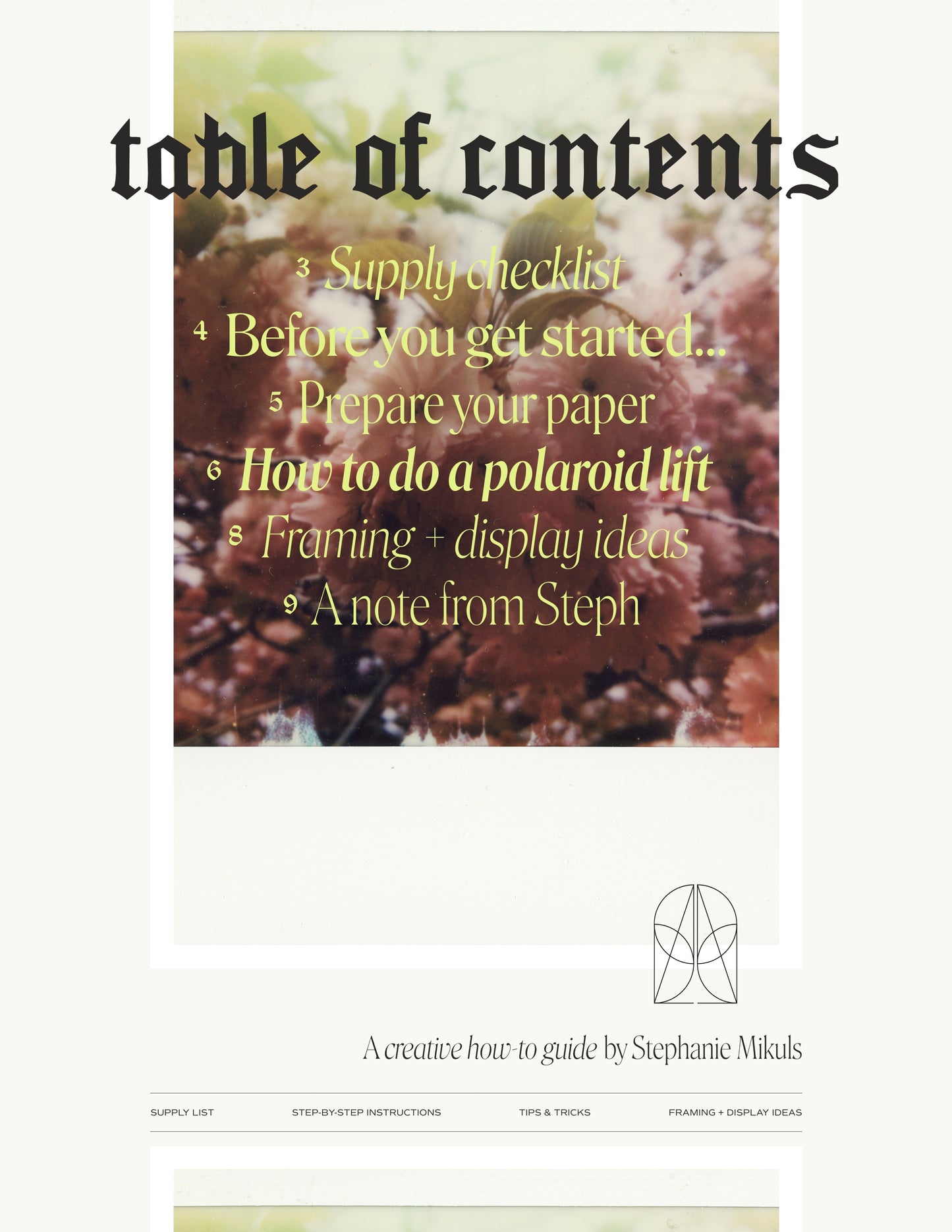 Creative Guide to Polaroid Emulsion Lifts — Free Digital Download
