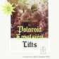Creative Guide to Polaroid Emulsion Lifts — Free Digital Download