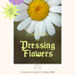 Creative Guide to Pressing Flowers — Free Digital Download