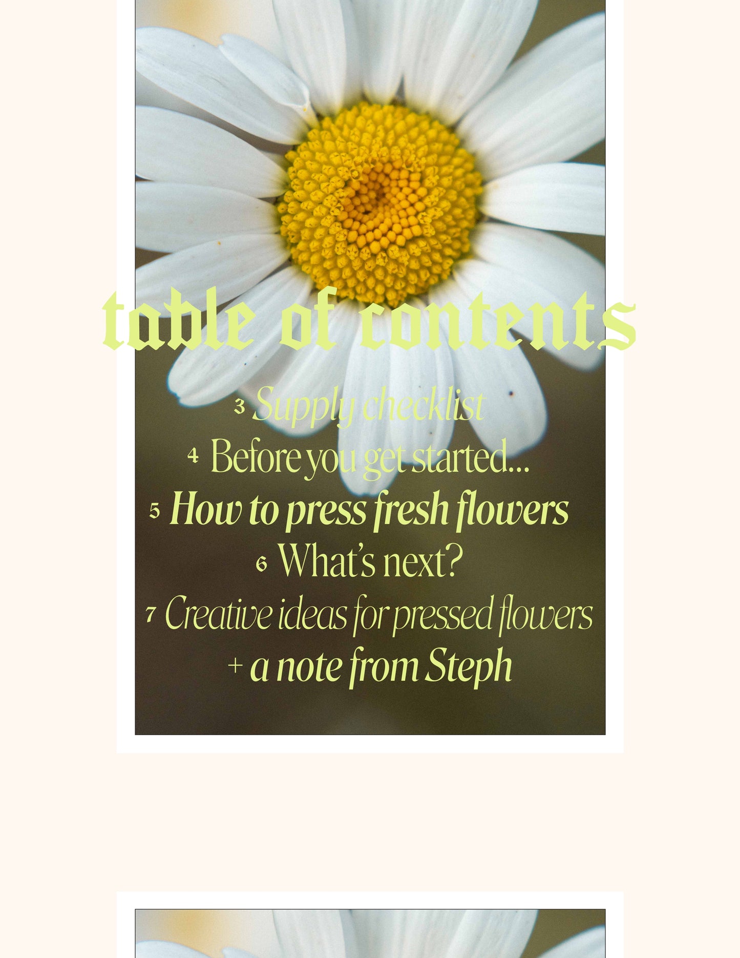 Creative Guide to Pressing Flowers — Free Digital Download