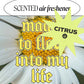 I Invite Magic to Flow Into My Life — Citrus Scented Air Freshener