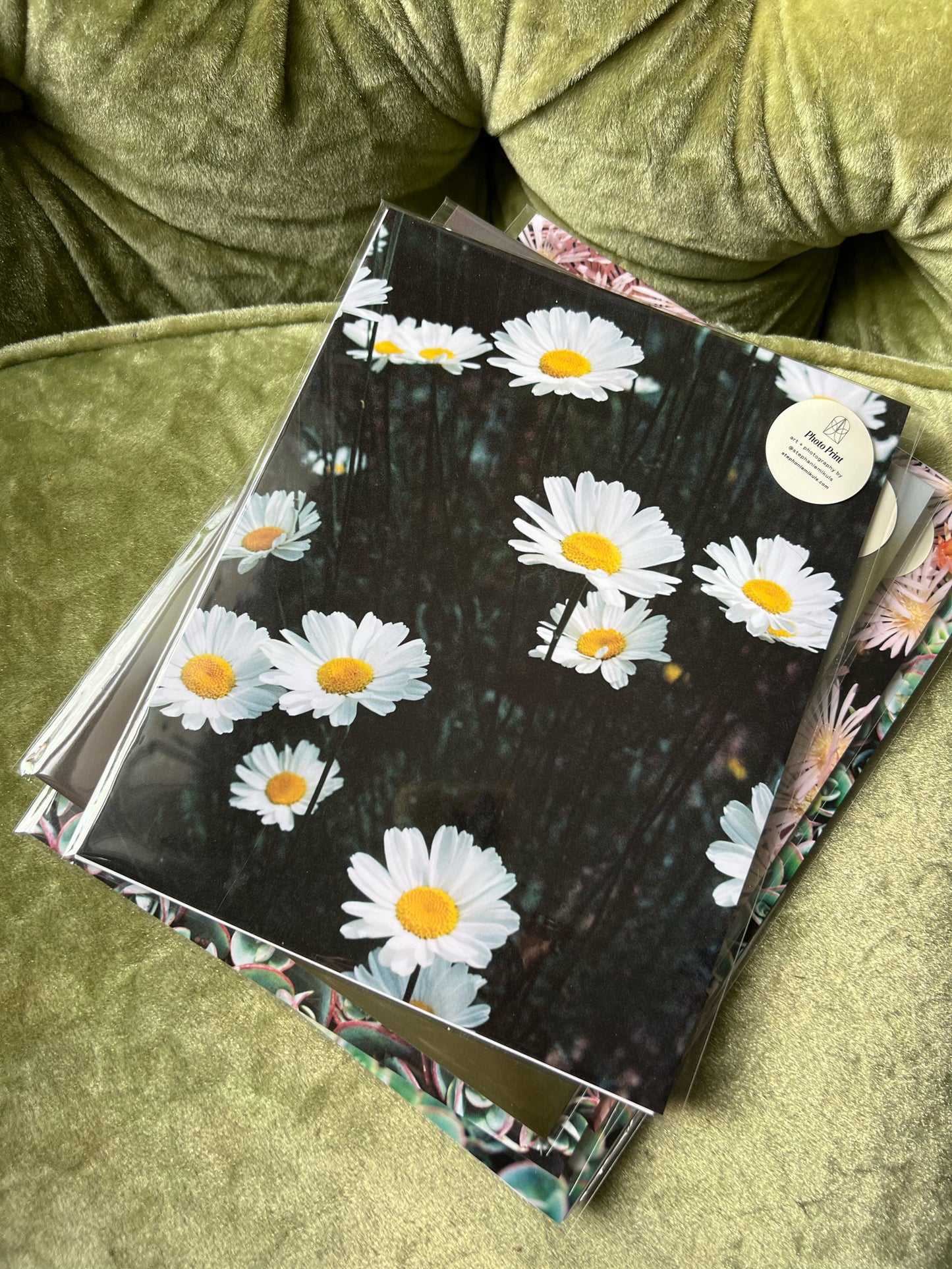 Daisies — 35mm Film Photo Print by Stephanie Mikuls