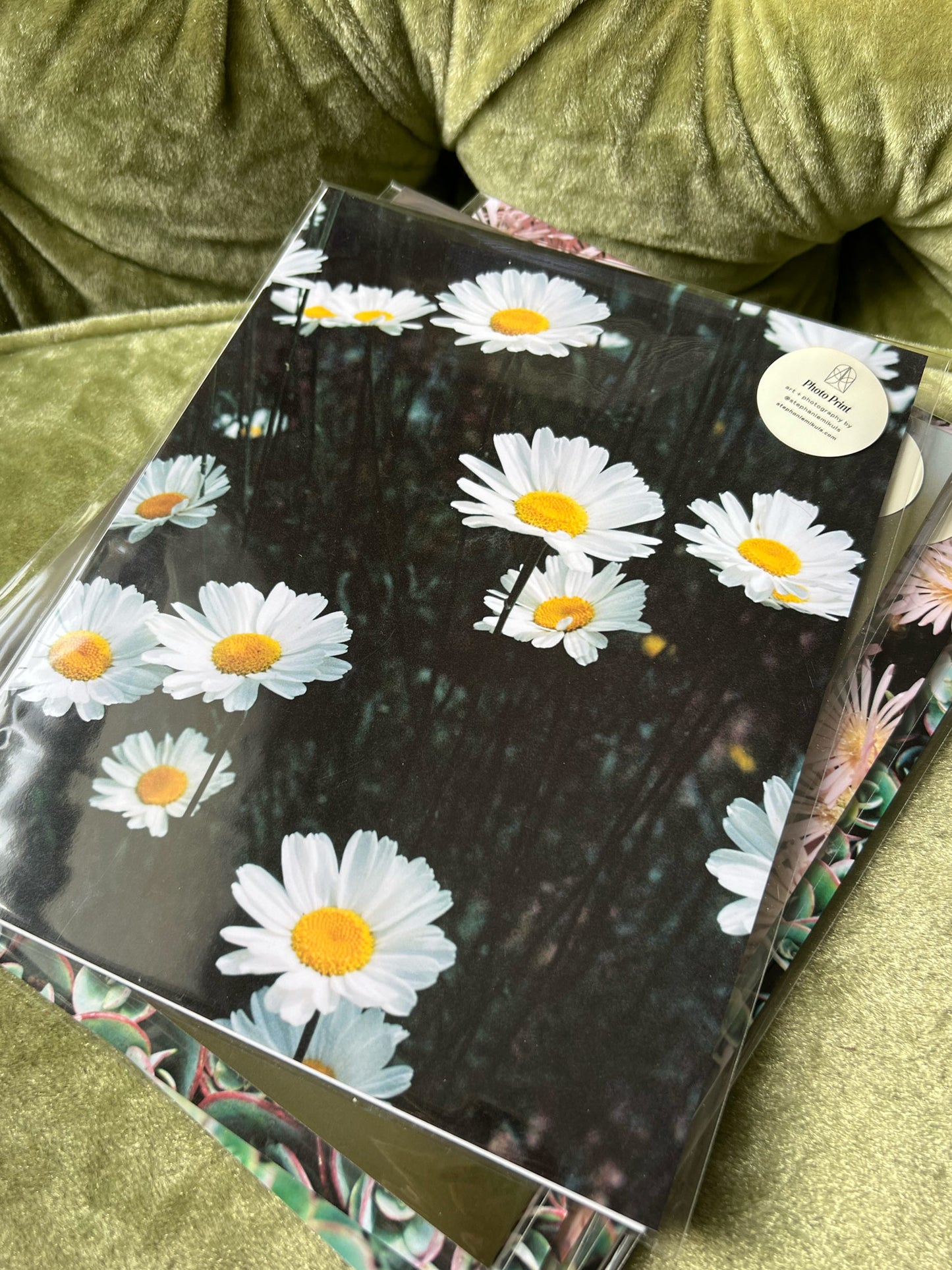 Daisies — 35mm Film Photo Print by Stephanie Mikuls