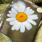 Flower Power Daisy - Fine Art Photo Print | Colorado Photography
