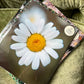 Flower Power Daisy - Fine Art Photo Print | Colorado Photography