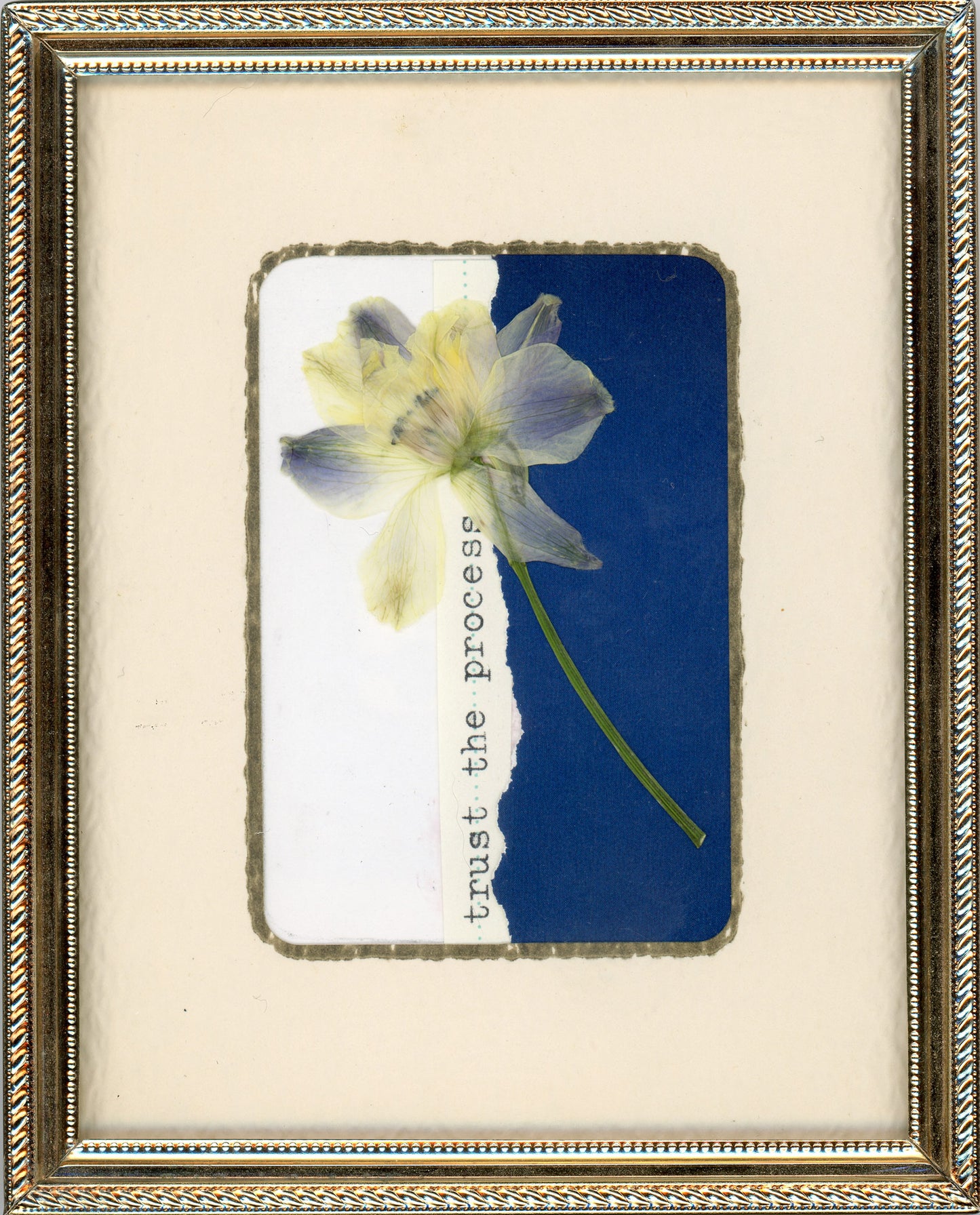 Creative Guide to Pressing Flowers — Free Digital Download