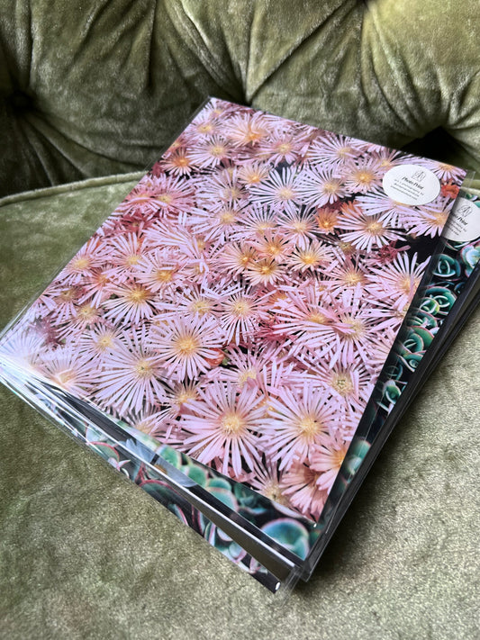 Pink Flowers — 35mm Film Photo Print
