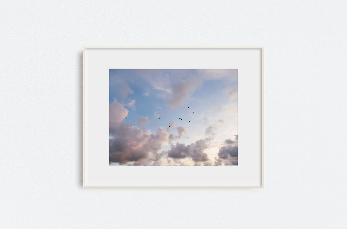 Blue Sky Birds — Colorado Fine Art Print