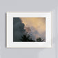 Tropical Sky Birds — Costa Rica Fine Art Print
