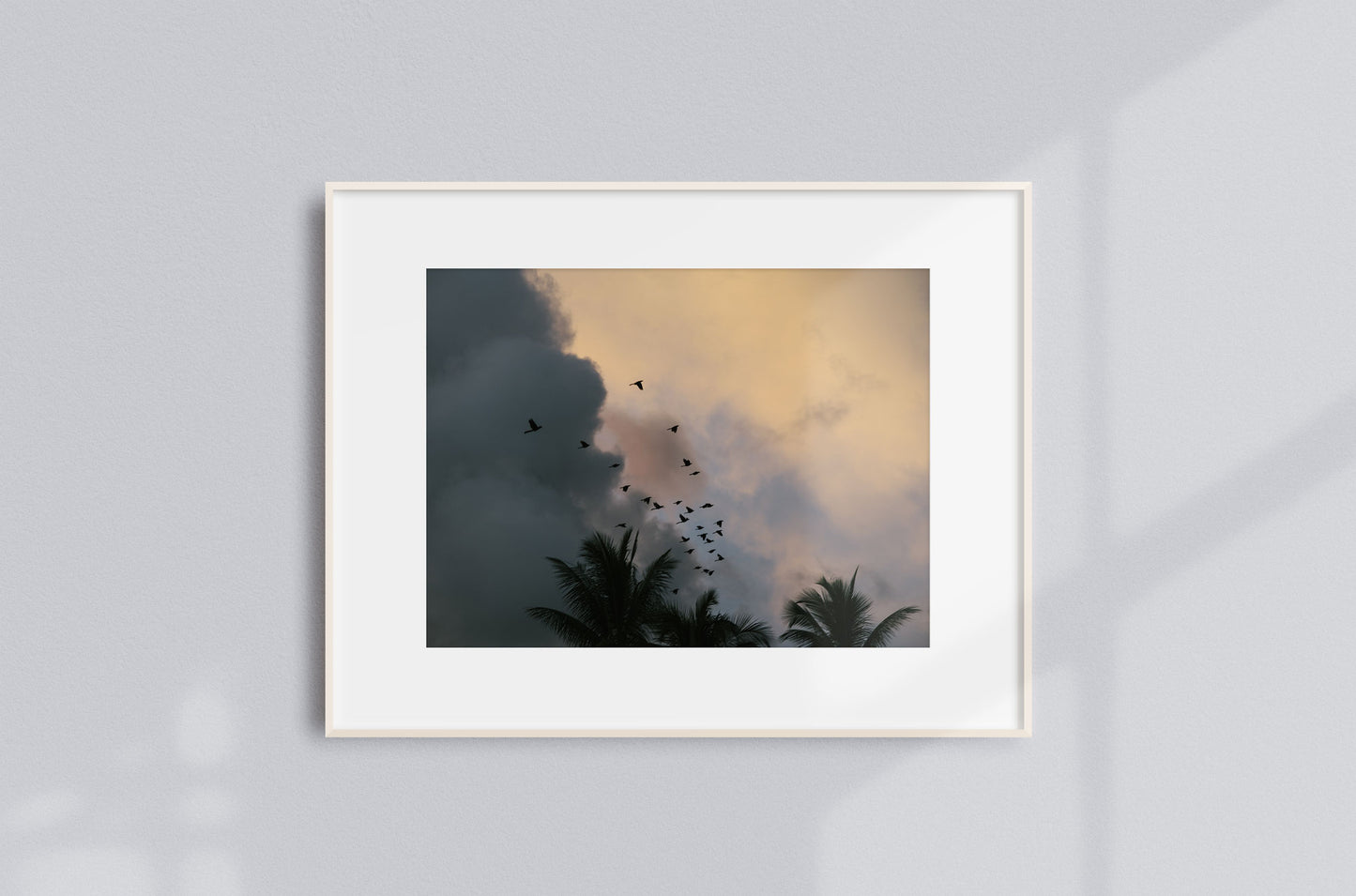 Tropical Sky Birds — Costa Rica Fine Art Print