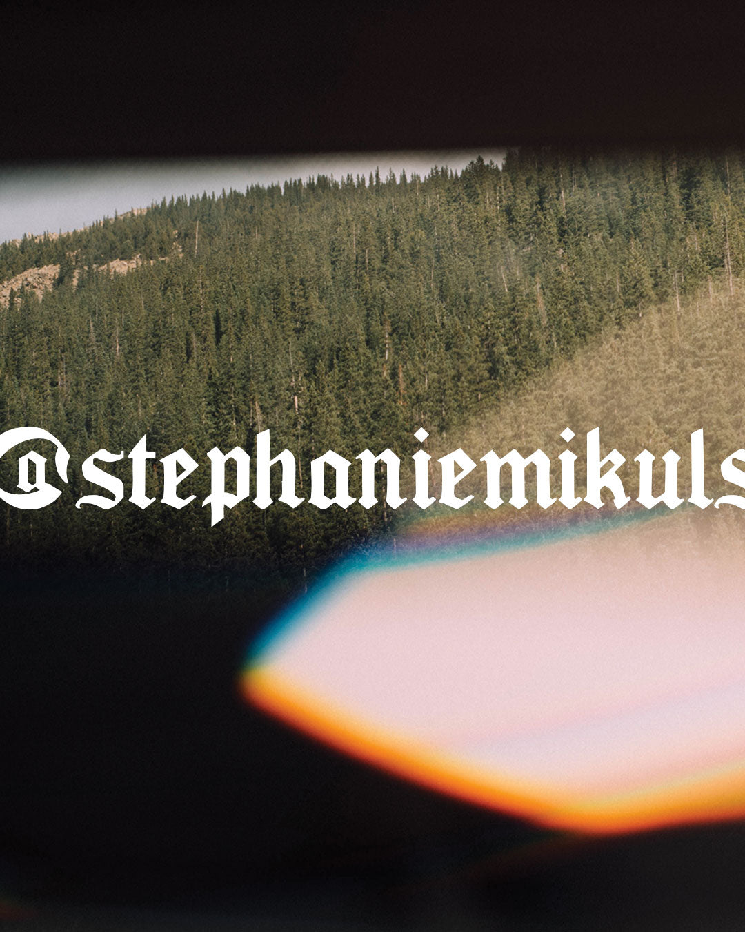 Pink Flare Pines — Colorado Prism Fine Art Print