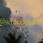 Tropical Sky Birds — Costa Rica Fine Art Print