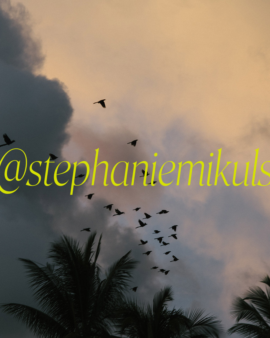 Tropical Sky Birds — Costa Rica Fine Art Print