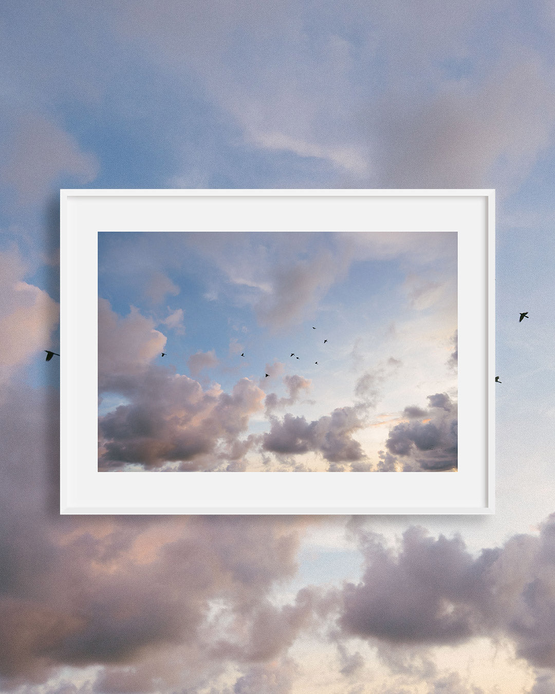 Blue Sky Birds — Colorado Fine Art Print