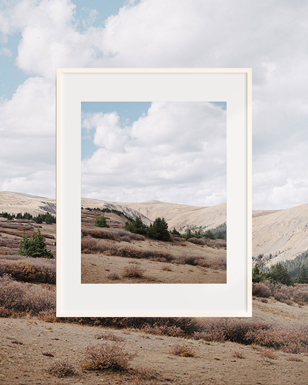 Guanella Pass, III — Colorado Fine Art Print
