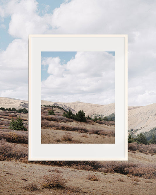 Guanella Pass, III — Colorado Fine Art Print
