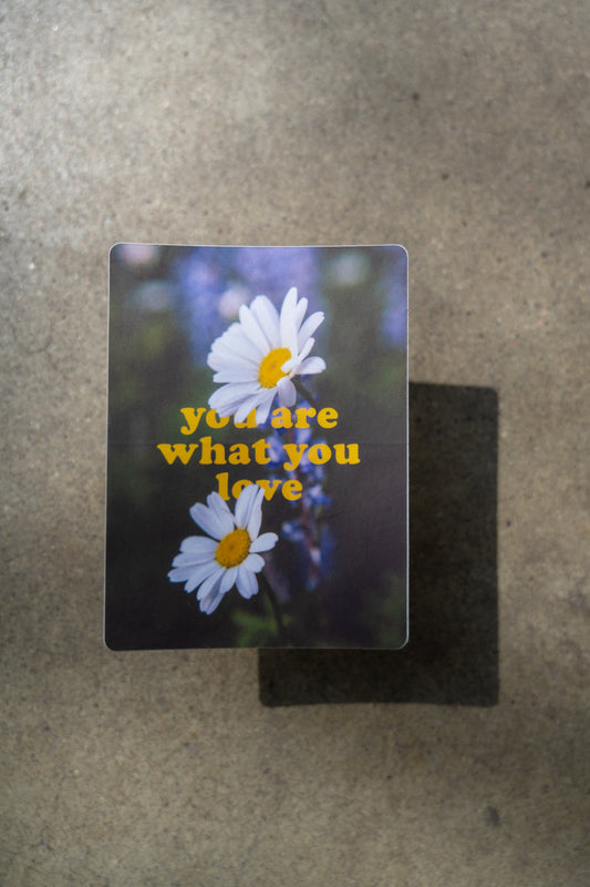 you are what you love | Vinyl Affirmation Sticker | Junk Journal Sticker