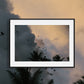 Tropical Sky Birds — Costa Rica Fine Art Print