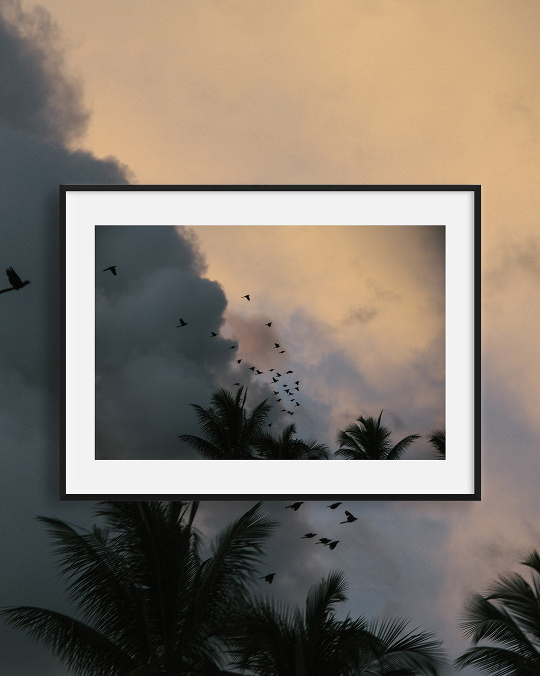 Tropical Sky Birds — Costa Rica Fine Art Print