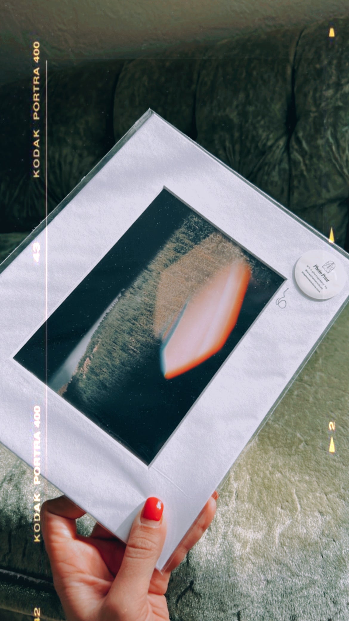 Pink Flare Pines — Colorado Prism Fine Art Print