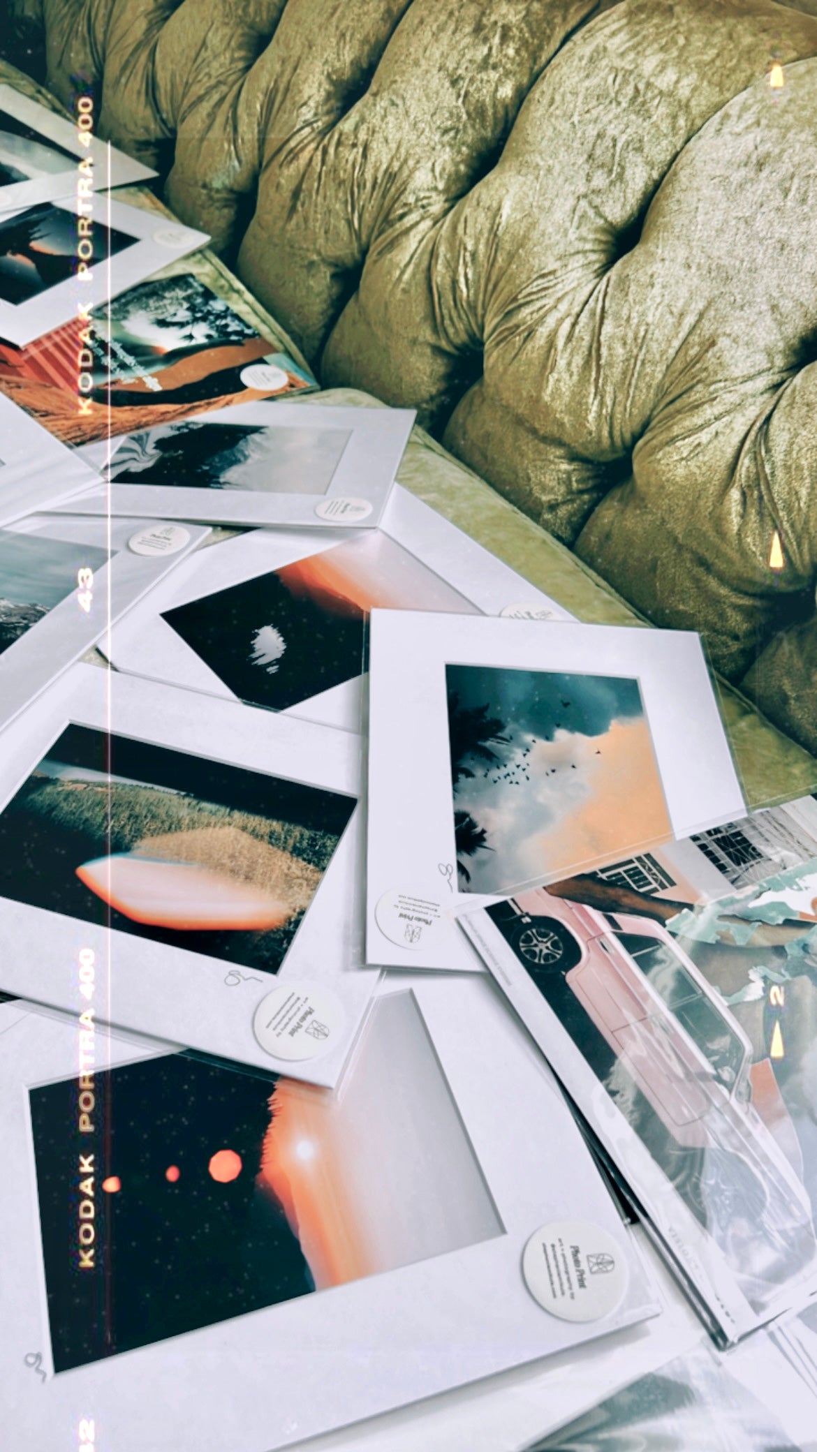 Pink Flare Pines — Colorado Prism Fine Art Print