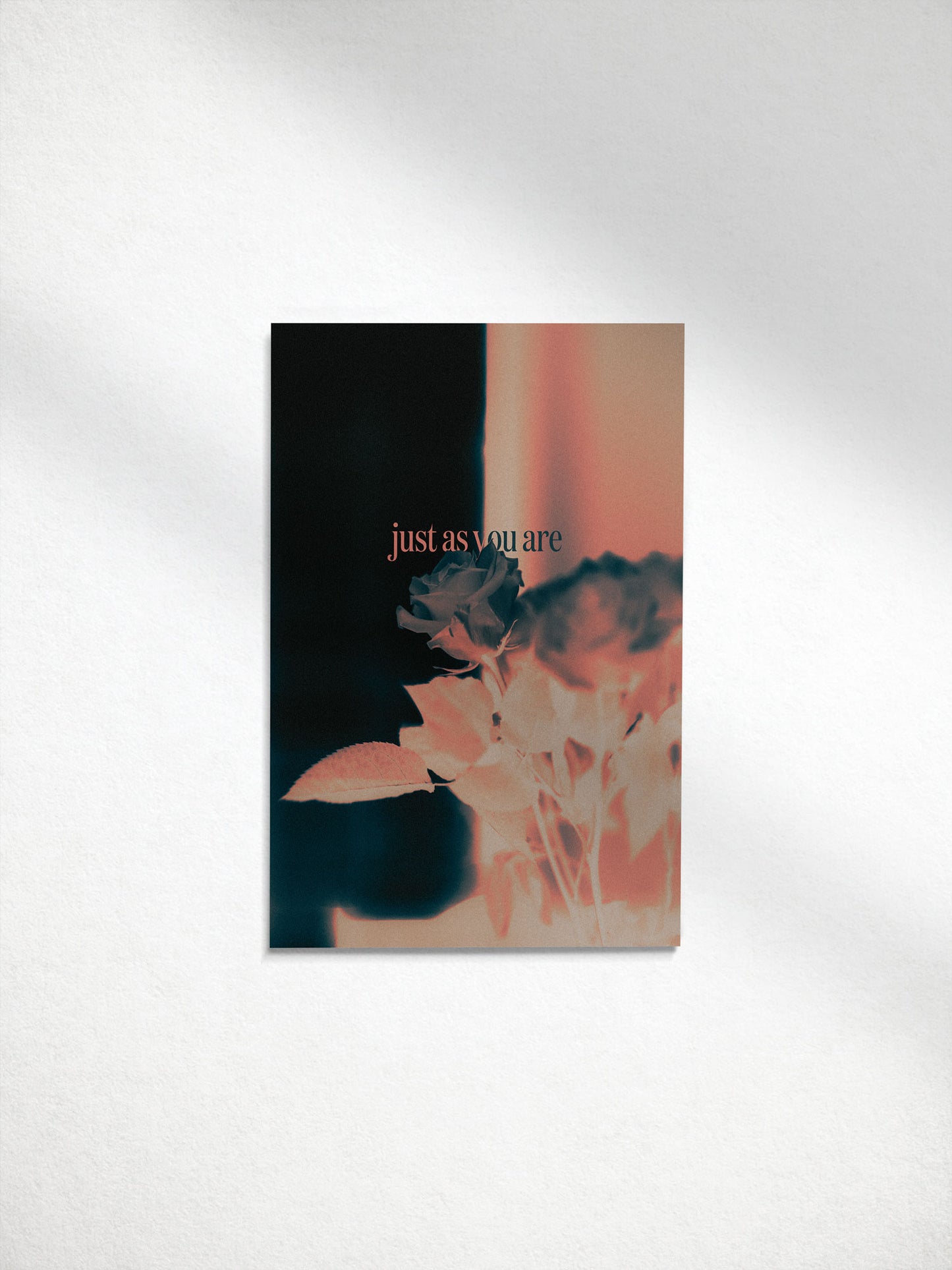 Affirmation Postcard Pack — 8 Designs by Stephanie Mikuls