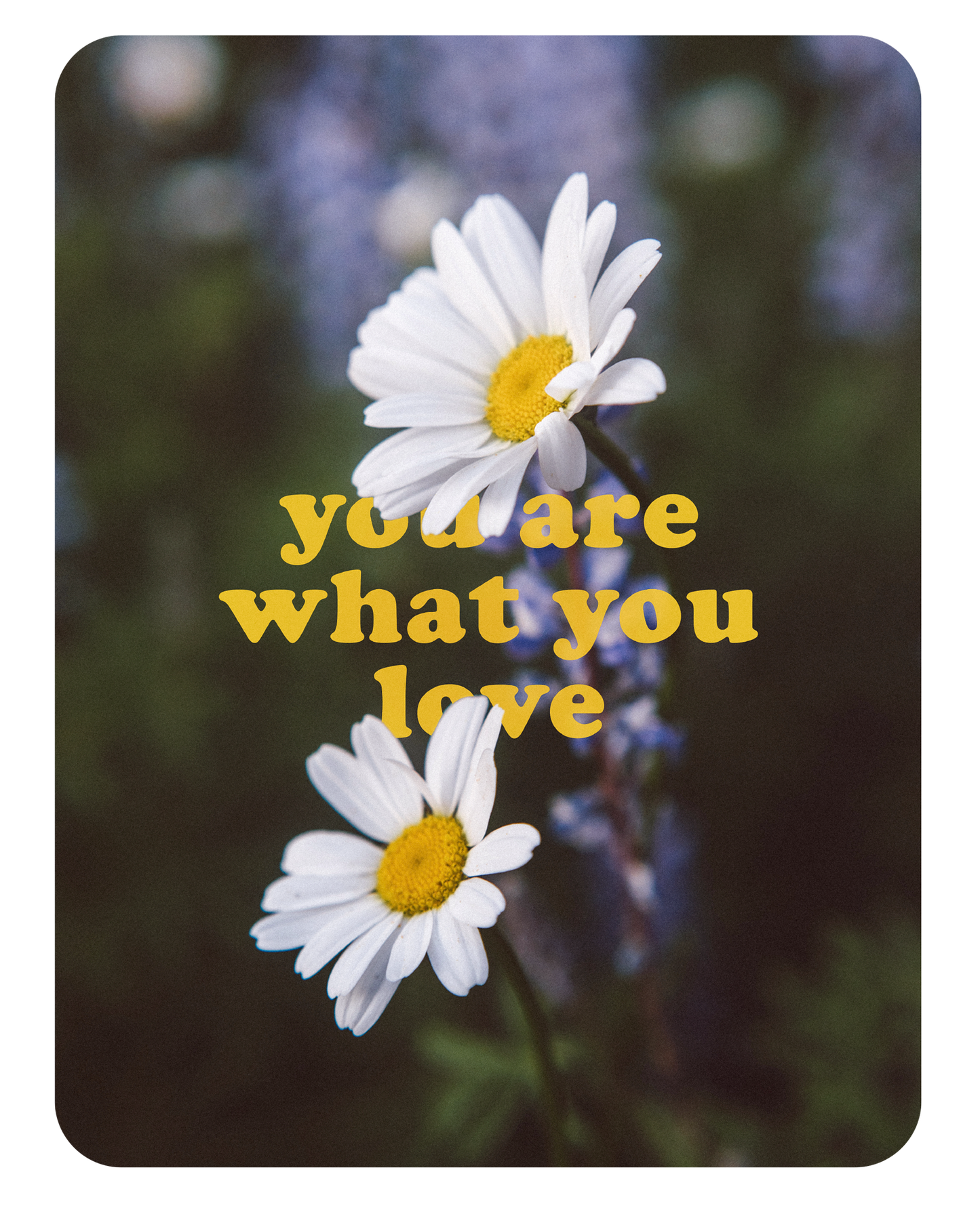 you are what you love | Vinyl Affirmation Sticker | Junk Journal Sticker