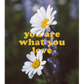 Affirmation Sticker Set — "The Magic is in You" Collection